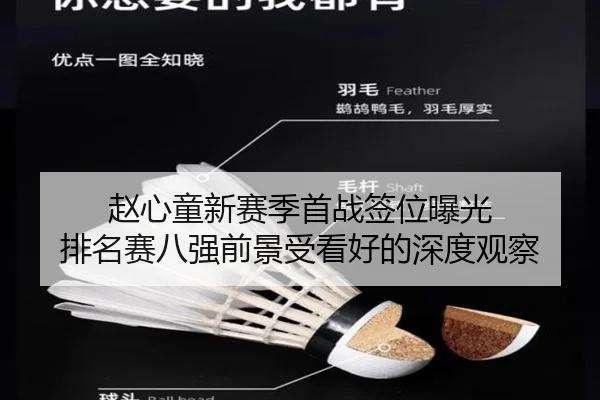 赵心童新赛季首战签位曝光 排名赛八强前景受看好的深度观察(YABO)